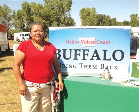 Native Sun News Spreading The Word On Bison In Indian Country