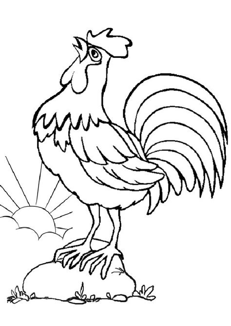 Rooster Coloring Pages For Kids Animals And Birds Coloring Printcolorcraft
