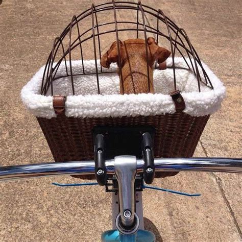 Dachshund Bike Basket Dog Bike Basket Biking With Dog Bike Basket