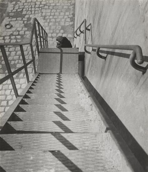 Vue En Plongée Dun Escalier Sur Les Quais De Seine 1926 Moral Jean