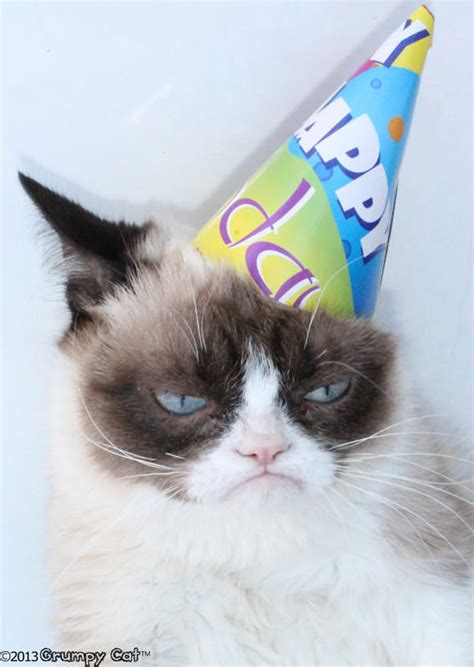 Birthday Hat Grumpy Cat