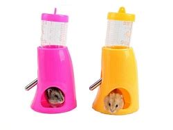 The Best Dwarf Hamster Toys Playground Chews