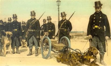 Belgium belgian army uniform 1er regiment de lanciers c1900 postcard. Colourised photo showing belgian soldier with their dogs ...