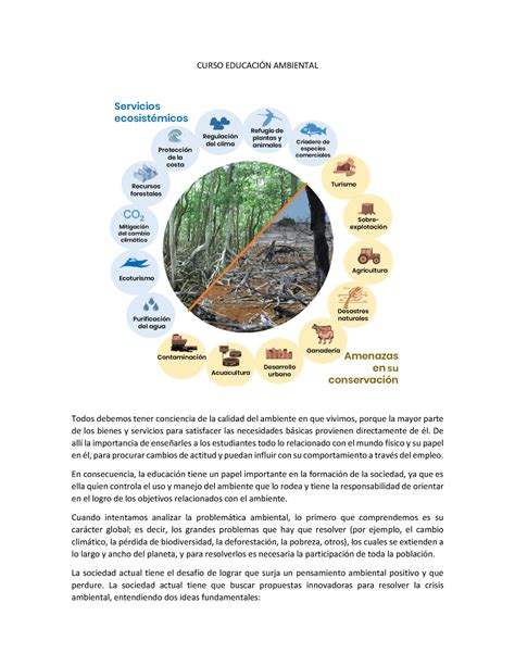 Aprendizaje Virtual Curso Educaci N Ambiental Curso Educacin