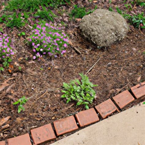 Preventing Weeds In Flower Beds Strategies For A Weed Free Garden