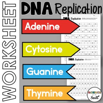 Because you must write down their own once the genomic dna is bound to the silica membrane, the nucleic acid is washed with a once extracted, the resulting dna is ready for advanced. Dna Replication Review Worksheet