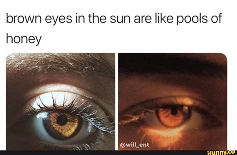 Brown Eyes In The Sun Are Like Pools Of Honey Ifunny