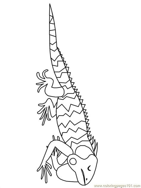 The development of these arts roughly follows the history of mexico. Mexican Coloring Iguana3 Coloring Page - Free Mexico ...