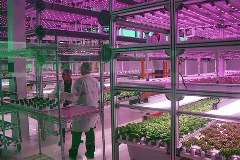 Crowdforthink Blog Indoor Farms Driven By Iot And Data