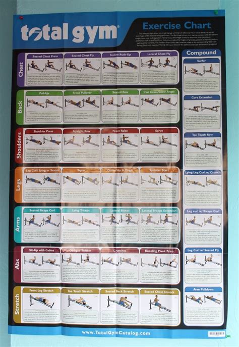 Printable Marcy Home Gym Exercise Chart Pdf Lsg Ssn All In One