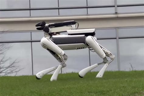 5 Household Robots That Will Do Annoying Chores For You Digital Trends