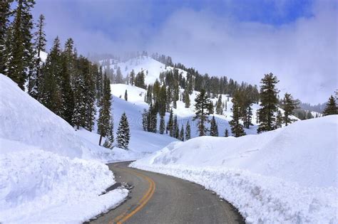 Lassen Volcanic National Park Road With High Snow In Spring Near