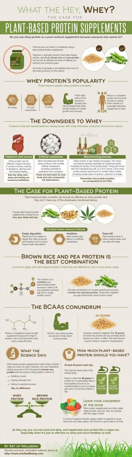 infographic plant based protein supplements