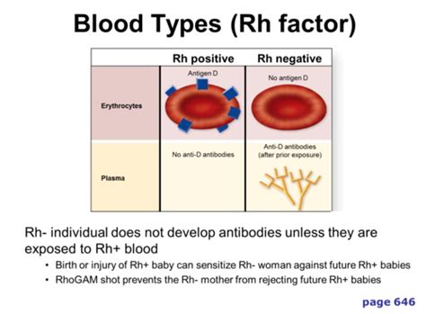The Rh Blood Group Systems Nomenclature Flashcards Quizlet