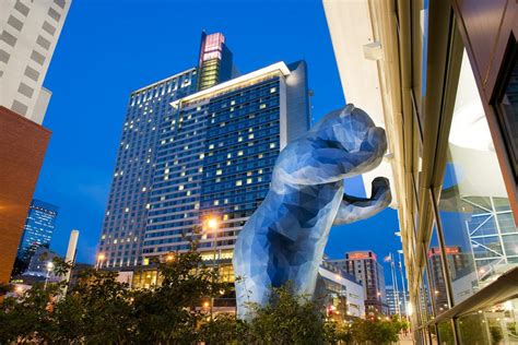 Big Blue Bear At Colorado Convention Center Denver Attractions Review