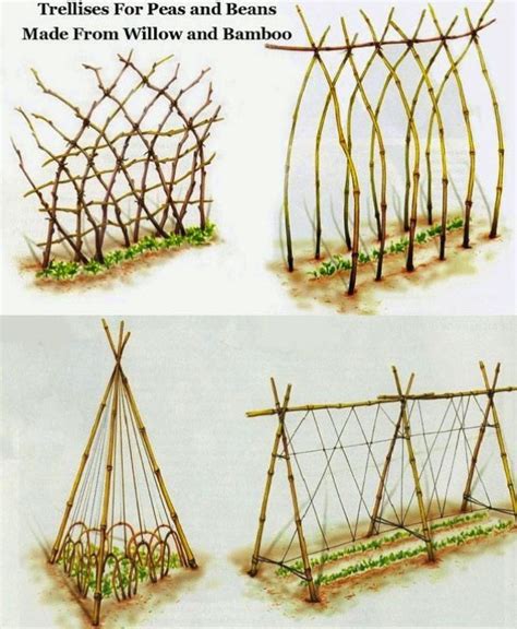They can help train and support plants, create privacy walls and living fences. DIY Trellis Ideas for Beans + Peas (and how they're ...