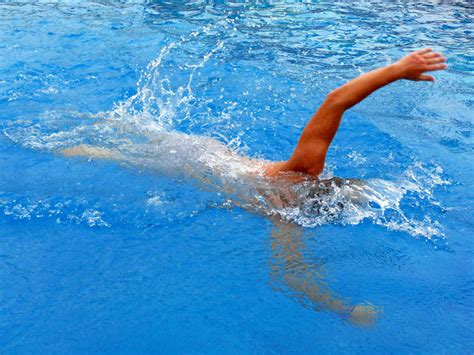 Schwimmen Kostenloses Stock Bild Public Domain Pictures