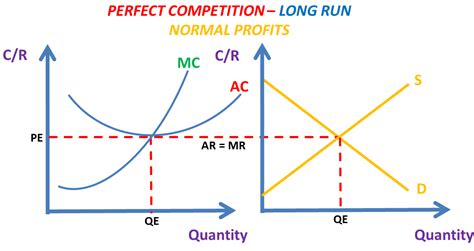 What are some examples of perfect competition? Perfect Competition (AS/A LEVELS/IB/IAL) - The Tutor Academy