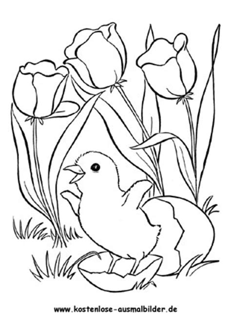 Als typische symbole für ostern gelten vor allem der osterhase und die bemalten eier. Ausmalbilder Osterküken 2 - Ostern zum ausmalen ...