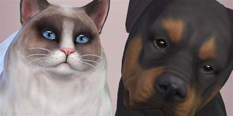 The Sims 4 Cats And Dogs Elder Mod Fur Hohpaapps