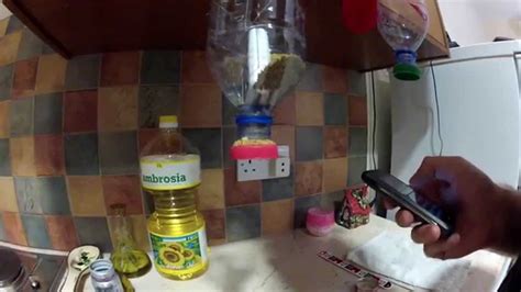 I've seen other diy fish feeders that just shake a container but i wanted to be able to precisely control how much food he'll get. DIY - Automatic Aquarium Fish Food Feeder in 5 minutes - YouTube