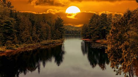 Forest Lake Between Trees During Sunset Hd Nature Wallpapers Hd