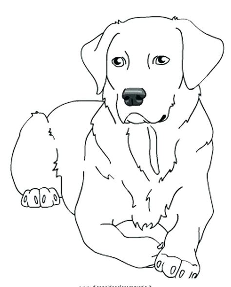 Printable Labrador Coloring Page Printable World Holiday