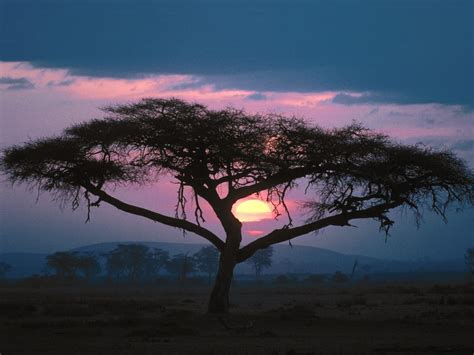 Natures Beauty East African Sunset