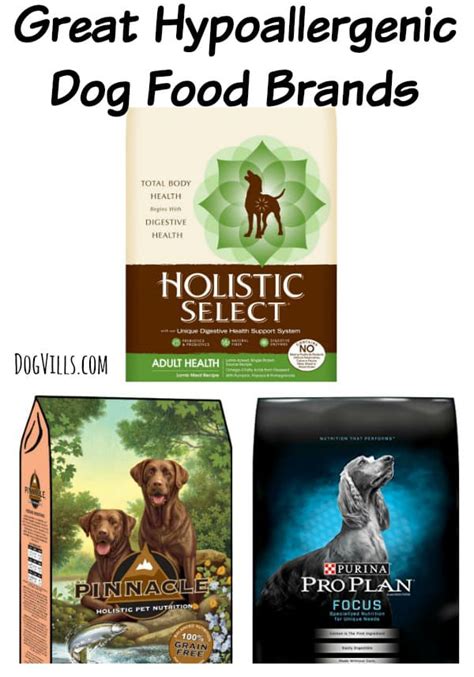 Rating Of The Best Hypoallergenic Dog Foods