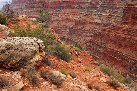 Grand Canyon National Park Supai Group 0789 A Photo On Flickriver