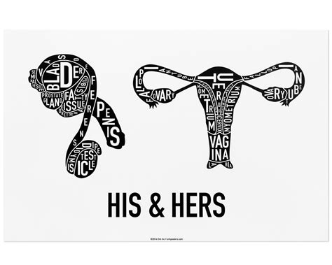 When you look at our. Reproductive Anatomy Typographic Artwork - Male & Female ...