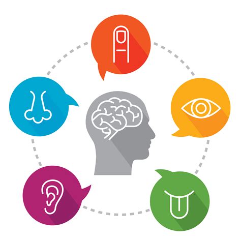 Sensory Stimuli Memorization Techniques P