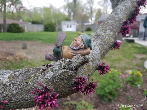 Wee Folk Wednesday Gnome In The Redbud Nature Is My Therapy