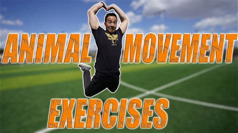 Top 10 Animal Movement Exercises Best Animal Flow For Beginners Youtube