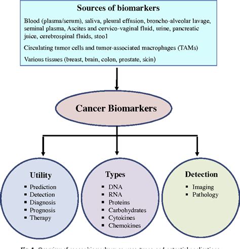 Figure 1 From Molecular Markers For Cancer Prognosis And Treatment