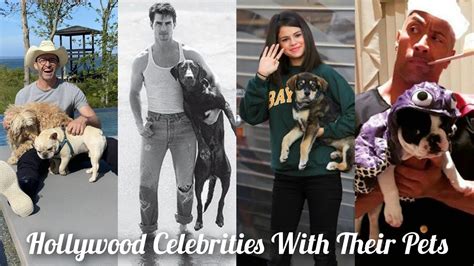 Hollywood Celebrities With Their Dogs Richest Celebrities And Their