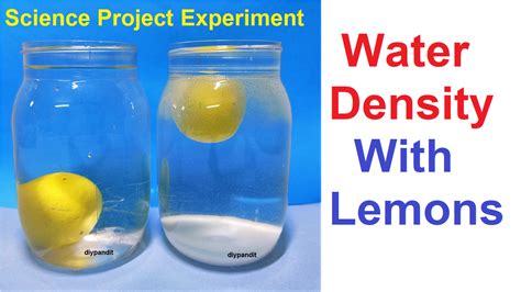 Water Density Experiments With Lemon Science Project For Exhibition