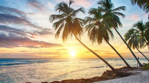 Картинки Tropical Paradise Beach Palms Sea Sunset пляж море