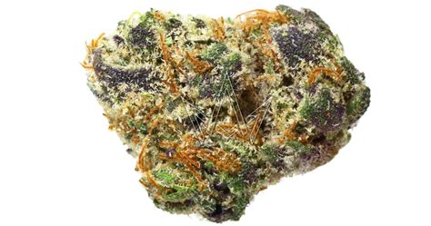 Papas Herb Zlushi 35g San Diego Vista And Imperial Cannabis