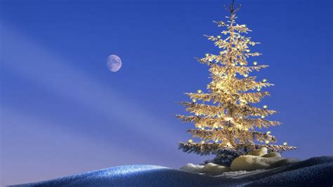 Moon Light Over Christmas Tree Wallpaper Holidays Wallpaper Better