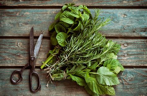Learn How To Cook With Herbs August 16 Joe Hayden Real Estate Team