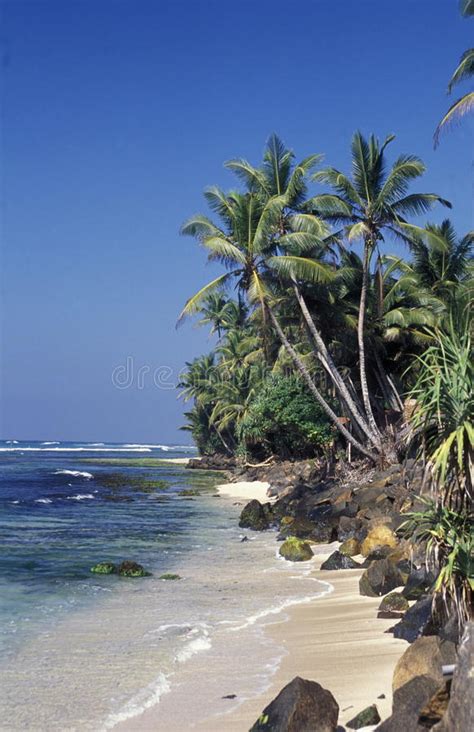 Sri Lanka Hikkaduwa Beach Editorial Photo Image Of Lanka 72119026
