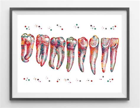 Dental Art Print Teeth Anatomy Art Teeth Row Watercolor Medical Art