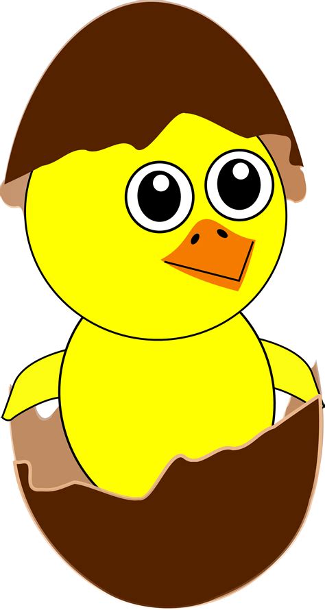 easter chick images clipart best