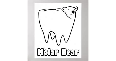 Molar Bear Polar Tooth Bear Poster Uk
