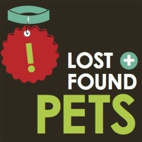 Anderson Creek Area Lost And Found Pets Posts Facebook