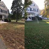 Lawn Doctor Connecticut Pictures