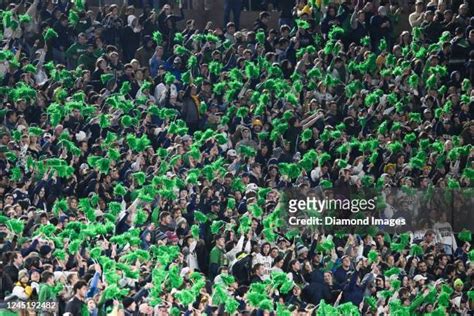 Notre Dame Fans Photos And Premium High Res Pictures Getty Images