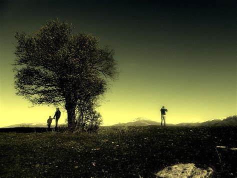 In The Hill Of Wild Pear Tree Photograph By Ioanna Papanikolaou Fine