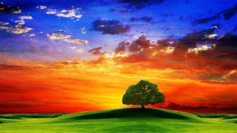 Green Hills And Tree Under Sunset And Blue Sky With Clouds Hd Sunset